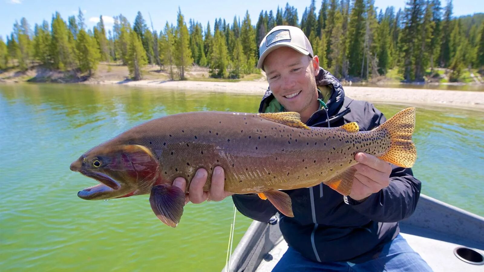 National fishing. Yellowstone park fishing. йеллоустоун фишинг. йеллоустоун рыбалка. рыбалка на озере.