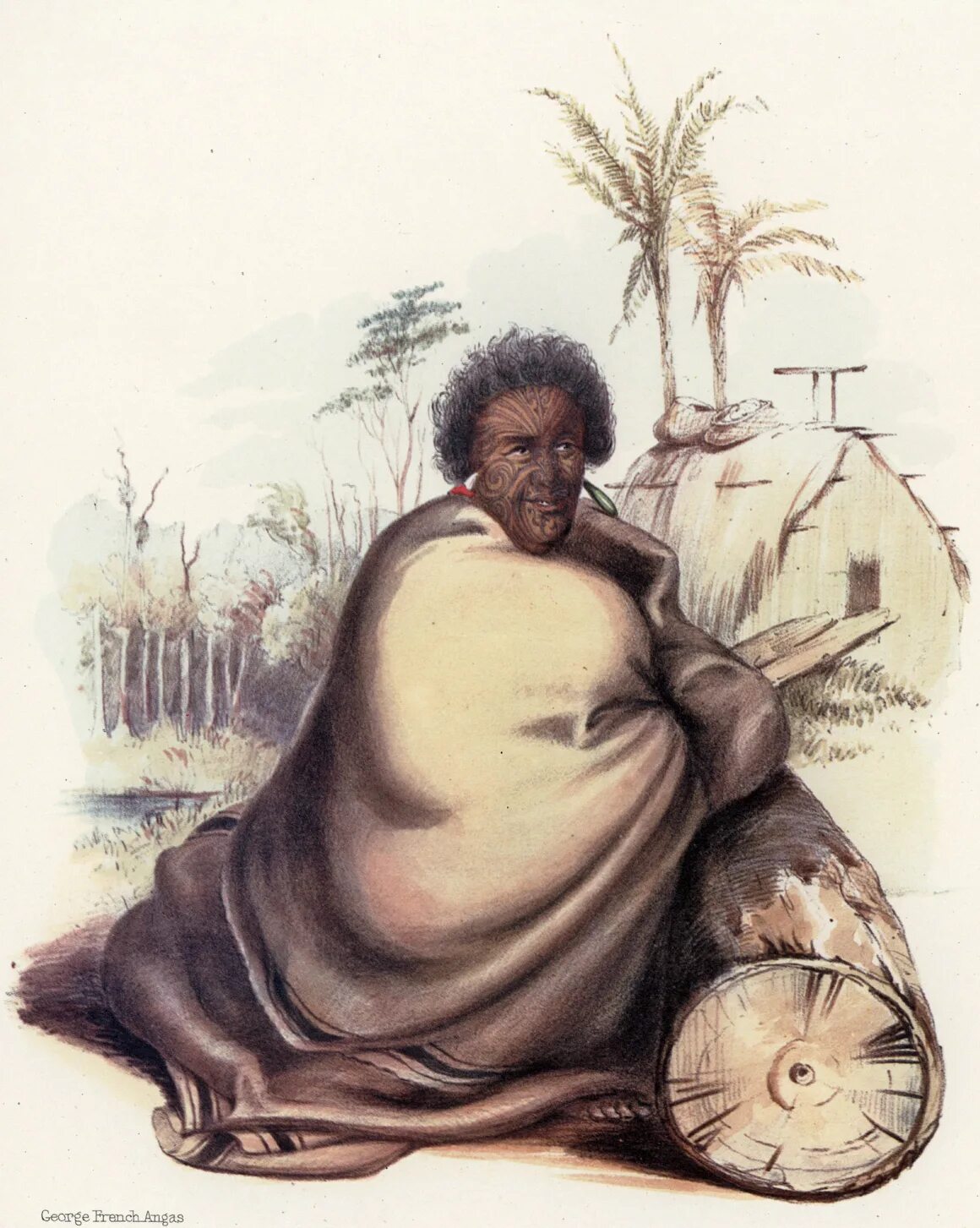 Король тухеитиа потатау те фероферо vii. Король маори 1856 — 1860. Первый король маори. Король маори 1856 — 1860. Меланезийская раса.