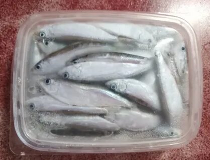 Тюлька для рыбалки