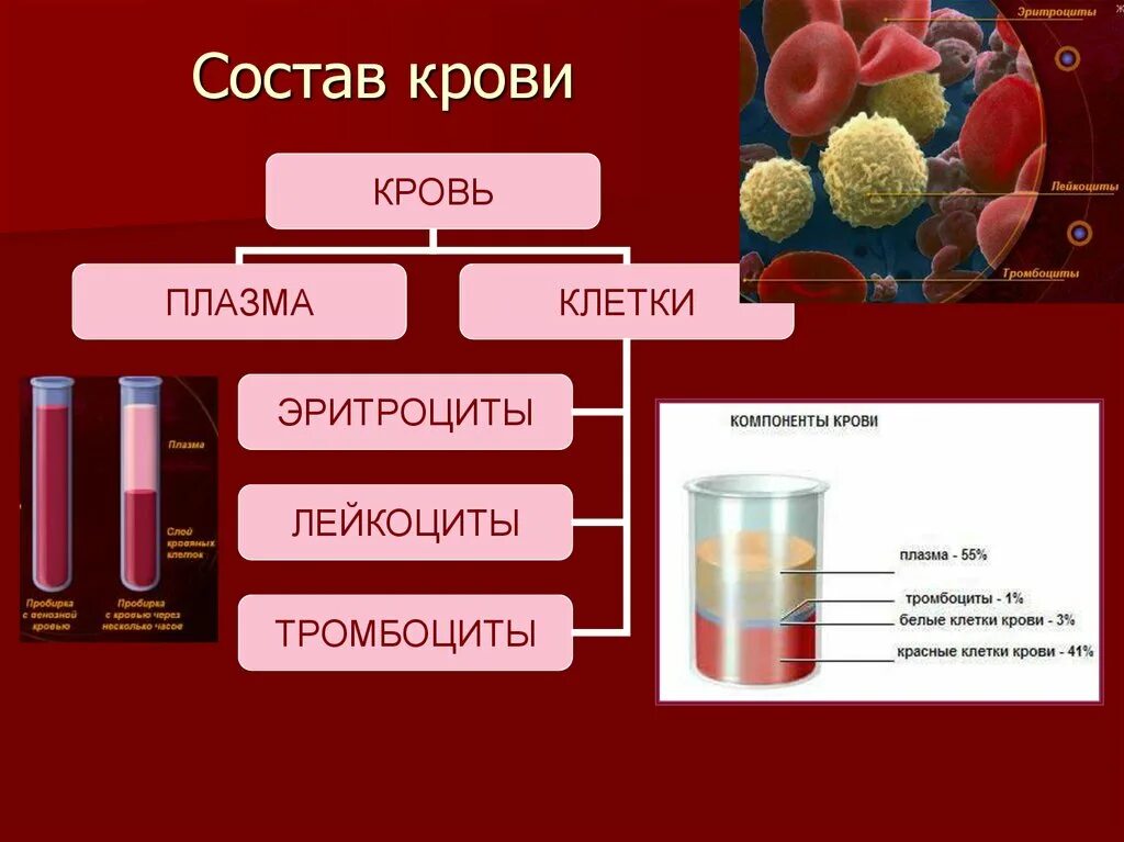 Форма плазмы крови. Состав плазмы крови схема. Состав крови плазма и форменные элементы. Составные части плазмы крови. Состав крови плазма и сыворотка крови.