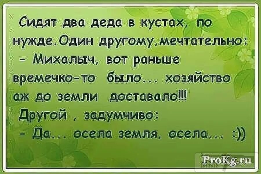 Можно заниматься сексом в 15. Статусы анекдоты приколы. Смешные статусы для ватсапа в картинках. Смешные высказывания про родственников. Афоризмы про родственников смешные.