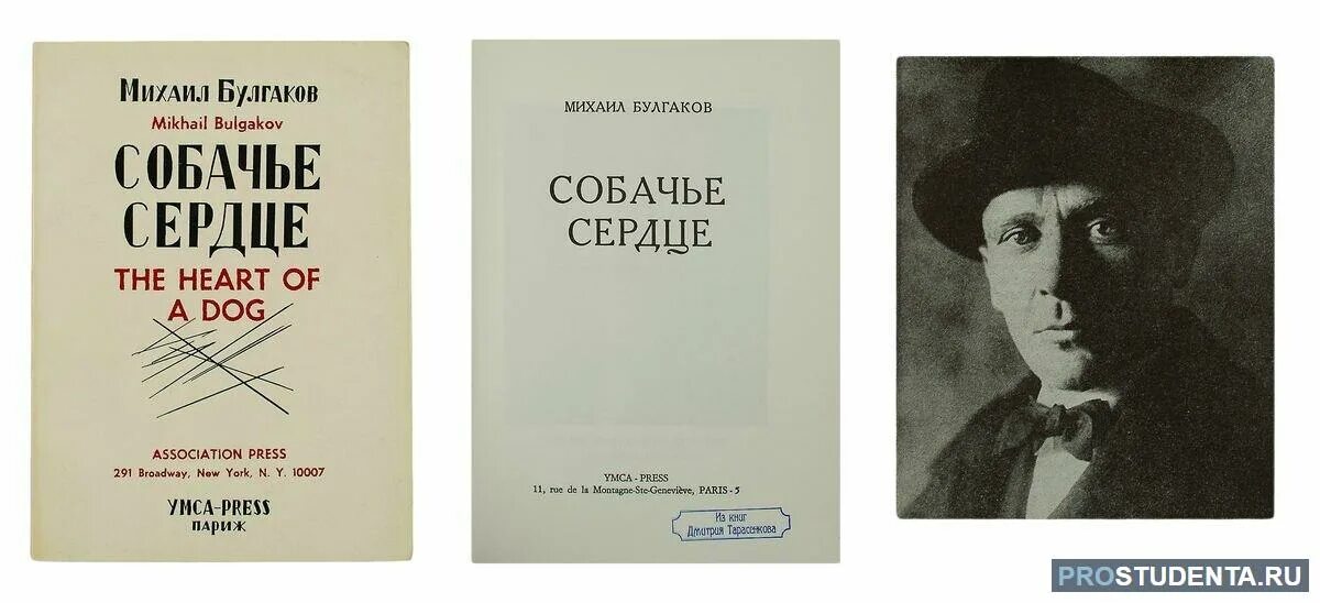 Булгаков Собачье сердце 1925. Булгаков Собачье сердце первое издание. Собачье сердце книга первое издание. Повести булгакова читать