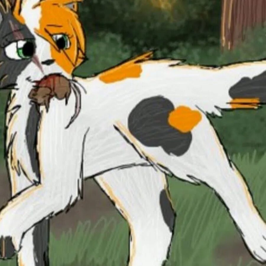 Коты воители мед. Коты воители медуница. Пестролап коты воители. Коты воители маковка. Маковка арты кв.