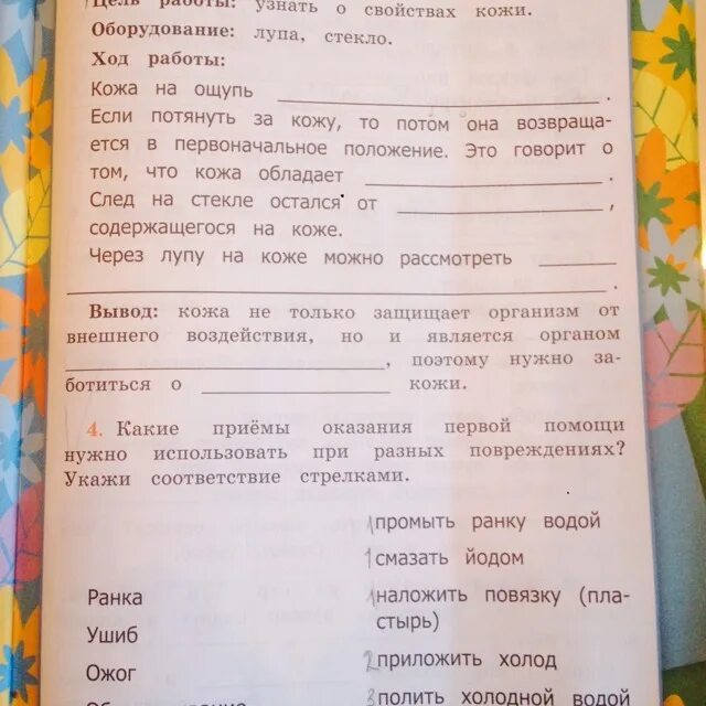 Проект кожа 3 класс окружающий мир Фото ТЕМА 21 ОКРУЖАЮЩИЙ МИР