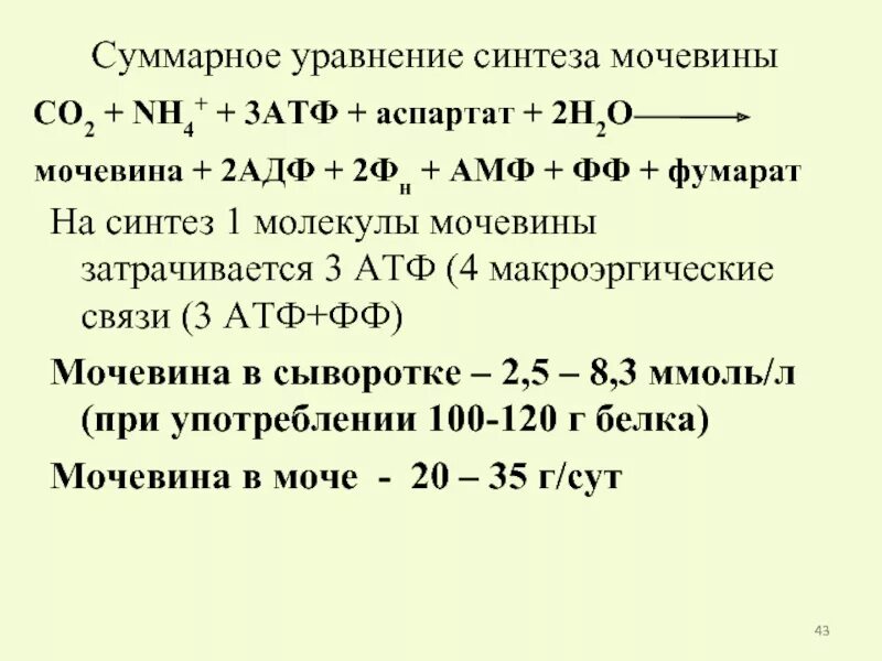 Необходима для синтеза атф. Синтез мочевины АТФ. Синтез мочевины реакции. Уравнение основных реакций синтеза мочевины. Синтез АТФ уравнение.