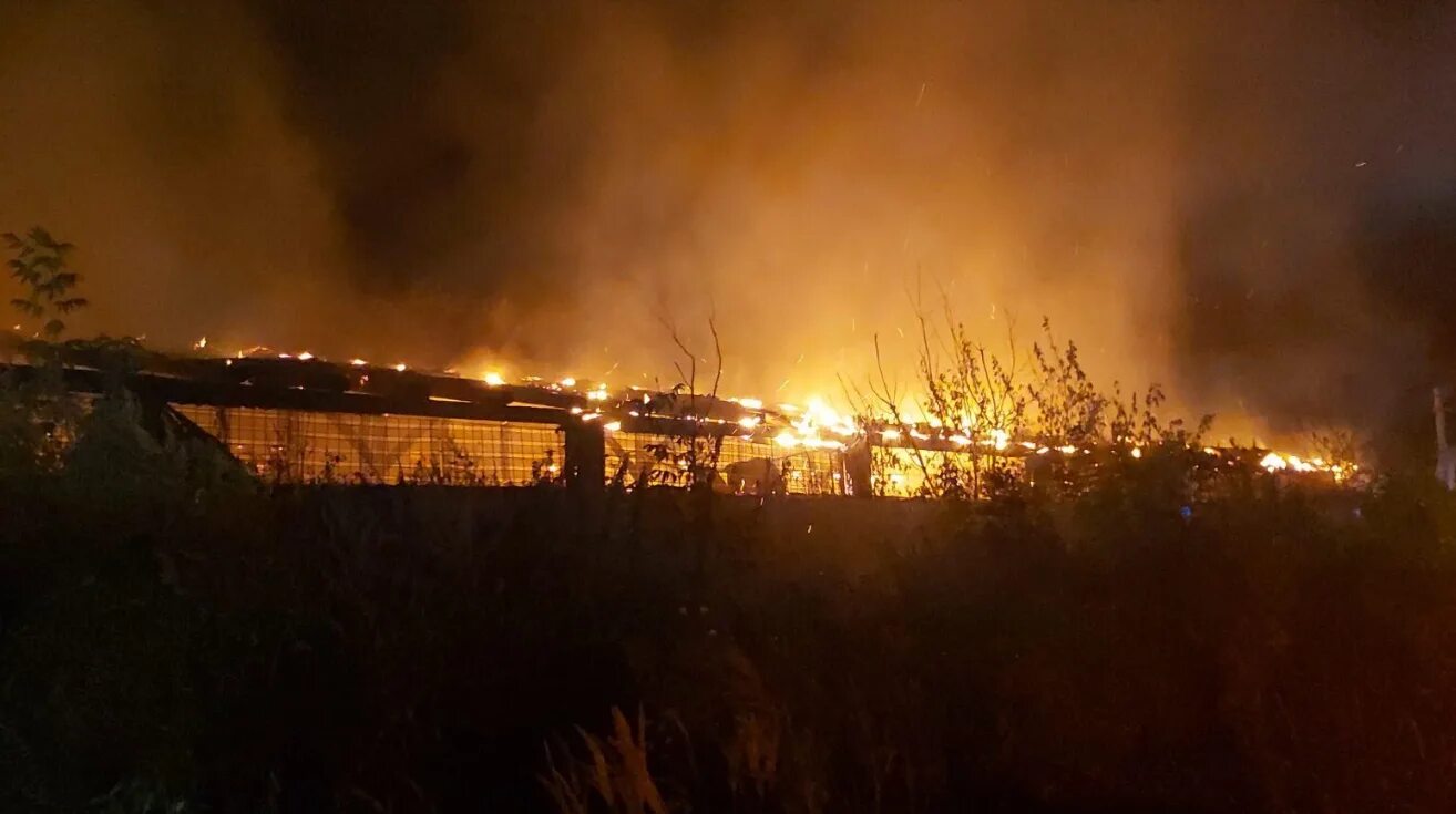 Горел караван. Пожар на Жигулевской ГЭС. Пожар в Заволжье. Пожар на патронном заводе Ульяновск. Горит завод.