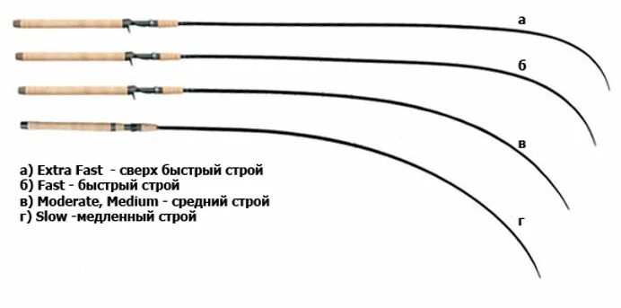 Строй фидера классификация. Параболический Строй удилища что это. Классификация Строй фидерного удилища. Regular fast Строй спиннинга. Строй fast