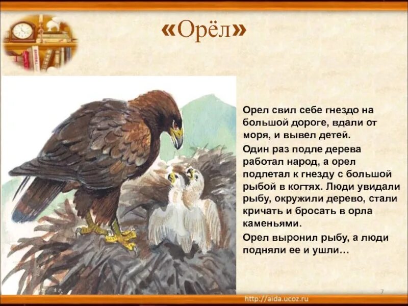 Лети словно орел текст. Лев толстой Орел. Рассказ Толстого Орел. Рассказ Льва Николаевича Толстого Орел. Быль Льва Николаевича Толстого Орел.