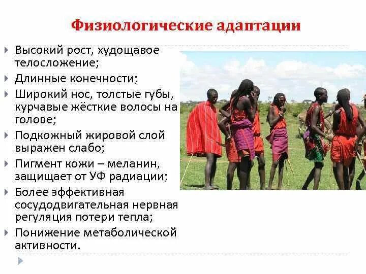 Адаптация человека связана с. Адаптация человека. примеры адаптации человека. физиологические адаптации. примеры физиологической адаптации у человека.