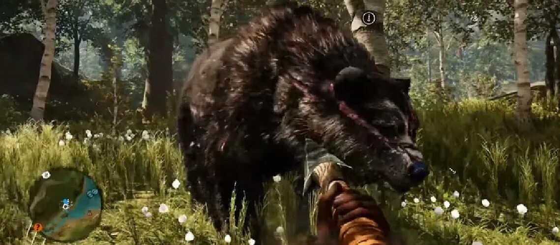 Медведь фар край 3. Far Cry Primal большой медведь. Где найти медведя в игре медведь