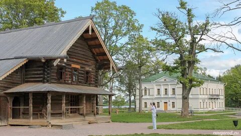 Золотое новгородская область