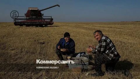 Сша зерновая
