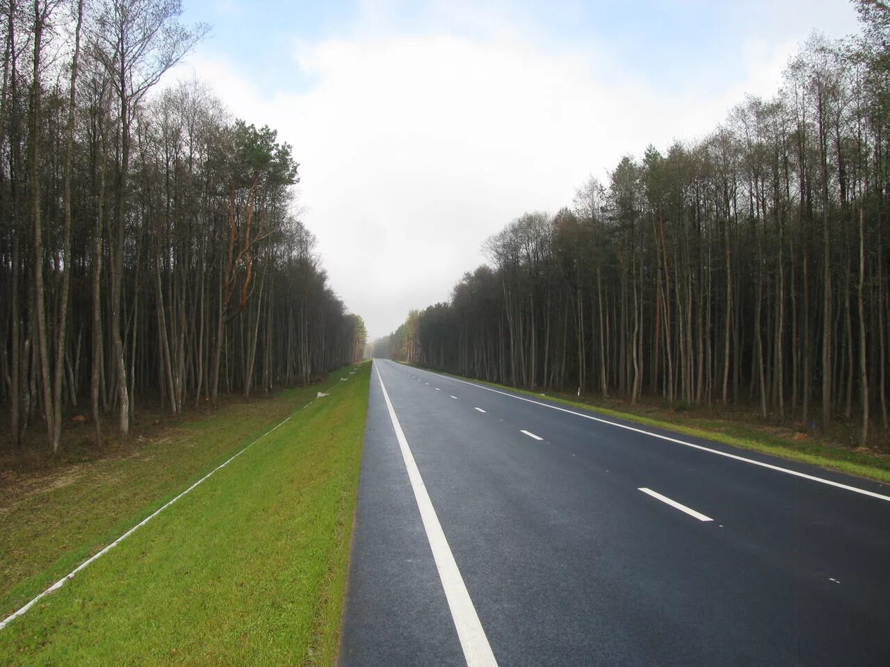 А вдоль дороги той. Беловежская пуща. Дороги в Беларуси. Красивые дороги Подмосковья. Деревья вдоль трассы.