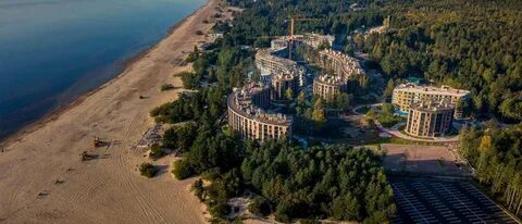 Черничный берег сестрорецк