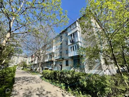 Озон ессентуки