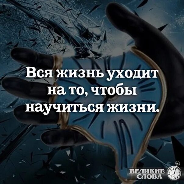 Жизнь научила песня. Вся жизнь уходит на то чтобы научиться. Мне жаль что вся жизнь уходит на то чтобы научиться жизни. Вся жизнь уходит на - чтобы научиться жизни. А жизнь уходит между тем.