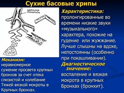Сухие басовые хрипы