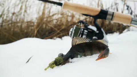 Весной рыбачат