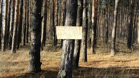 Плохая леса