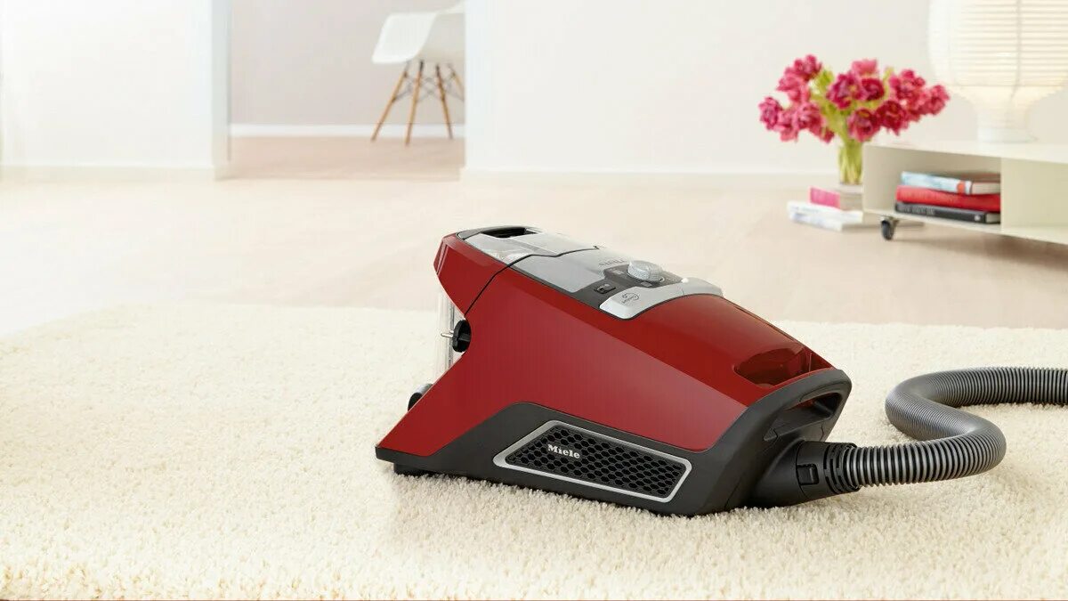 Miele blizzard cx1. Miele blizzard cx1 cat & dog powerline. пылесосы cat dog. пылесосы cat dog. пылесосы cat dog.