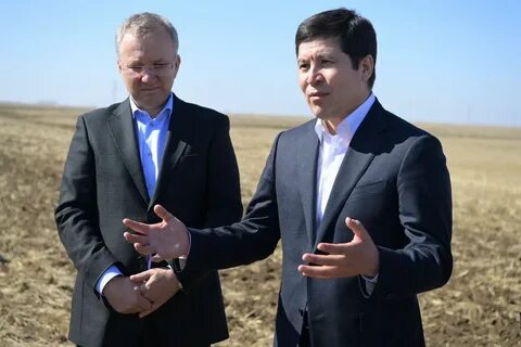 Руководитель тоо