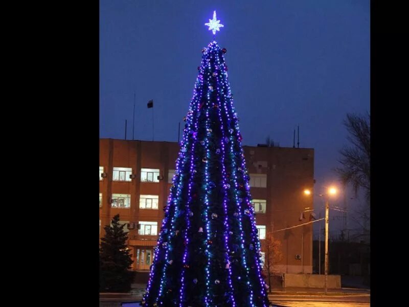 27 елок в Минске: смотрим, где установят новогодние деревья в столице