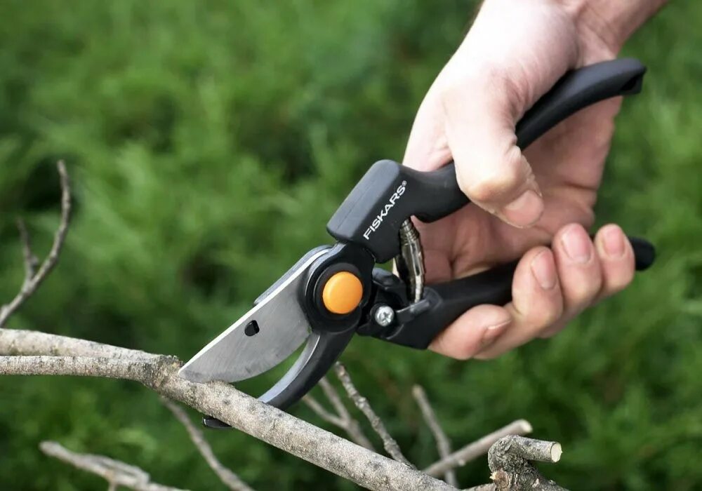 Как выбрать секатор садовый. Секатор fiskars p90 111960. профессиональный садовый секатор fiskars 1001530 (111960). сучкорез садовый фискарс. секатор садовый фирма фискарс.