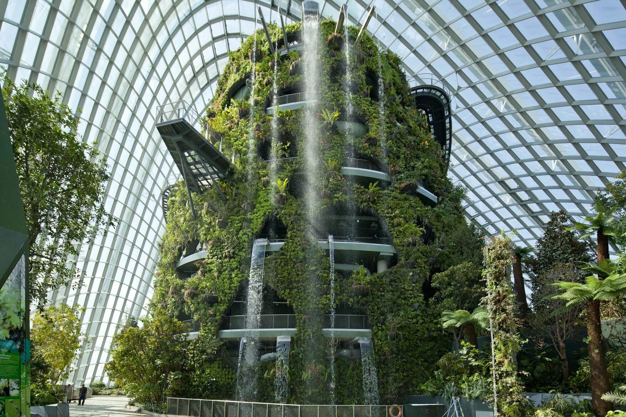 Зеленый город цветы. Зеленый город цветы. Сингапур оранжерея cloud forest. Female faces malaysia sustainable cities exhibition. Парк миллениум в чикаго пит удольф.