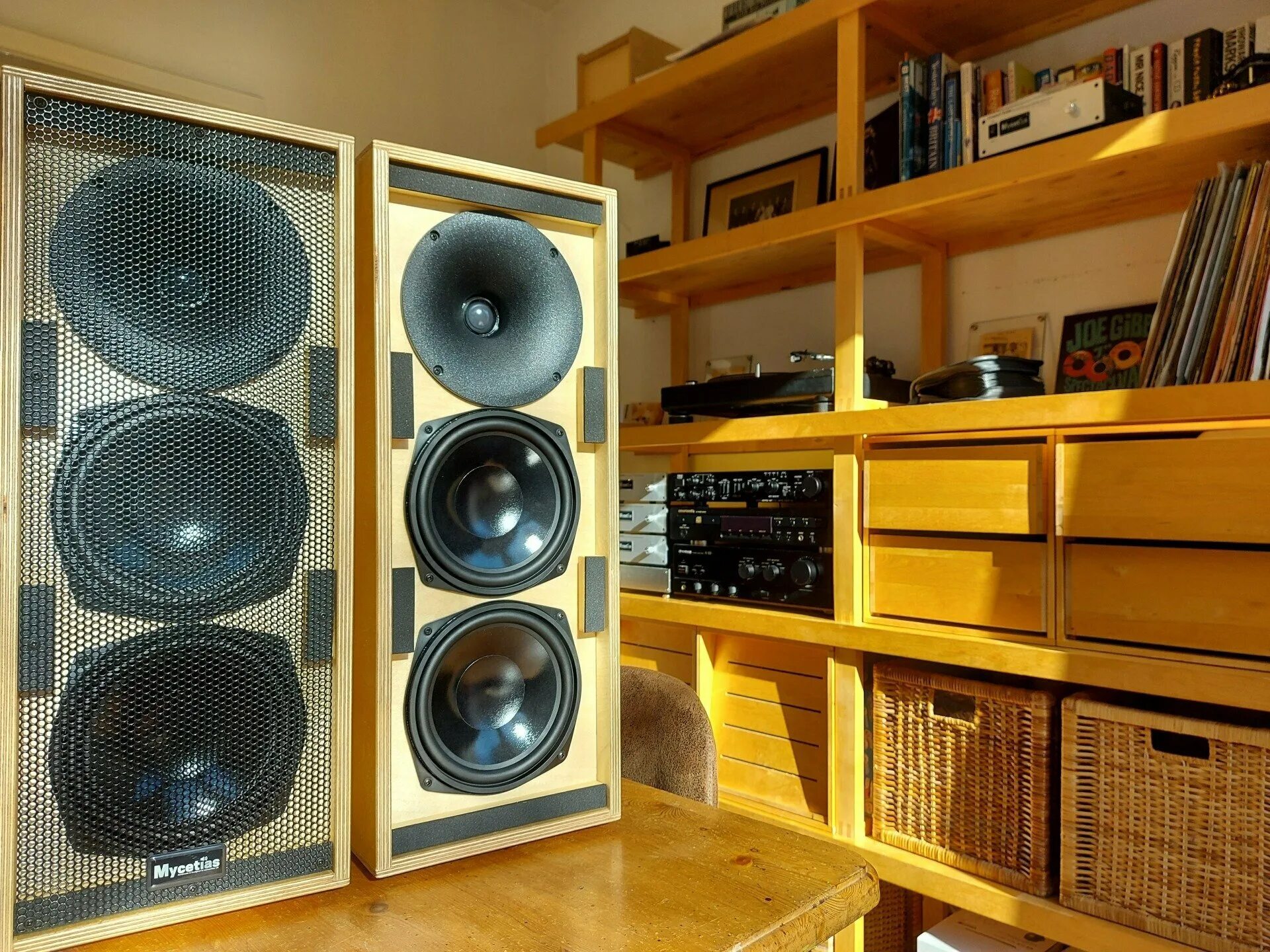 Tm audio. Westlake audio lc 8.1. design atelier акустические системы. о6+ аудио колонки. westlake audio.