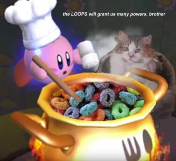 Loops cat. Loops brother. loops мем. lööps.