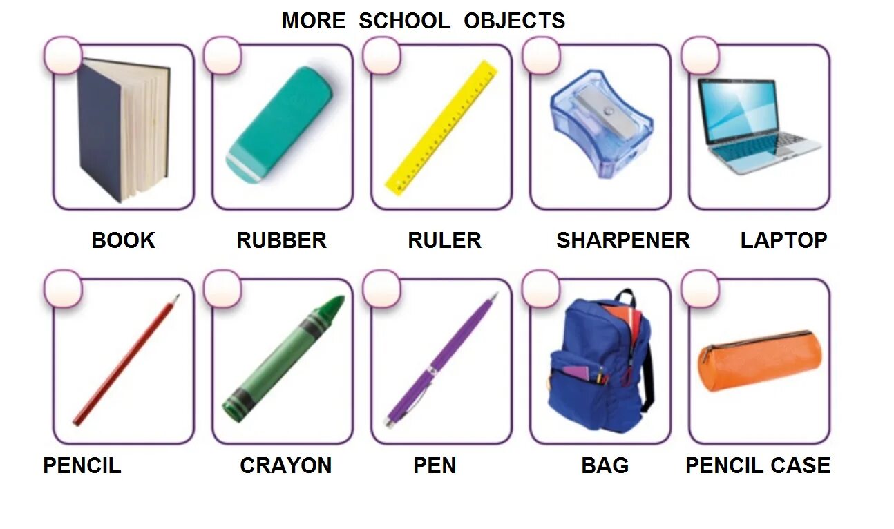 Most school перевод. School objects. My School objects. School objects Colors. School objects Lotto.