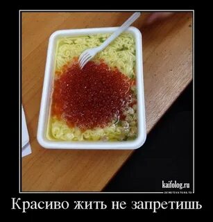 Красивая жизнь не запретишь