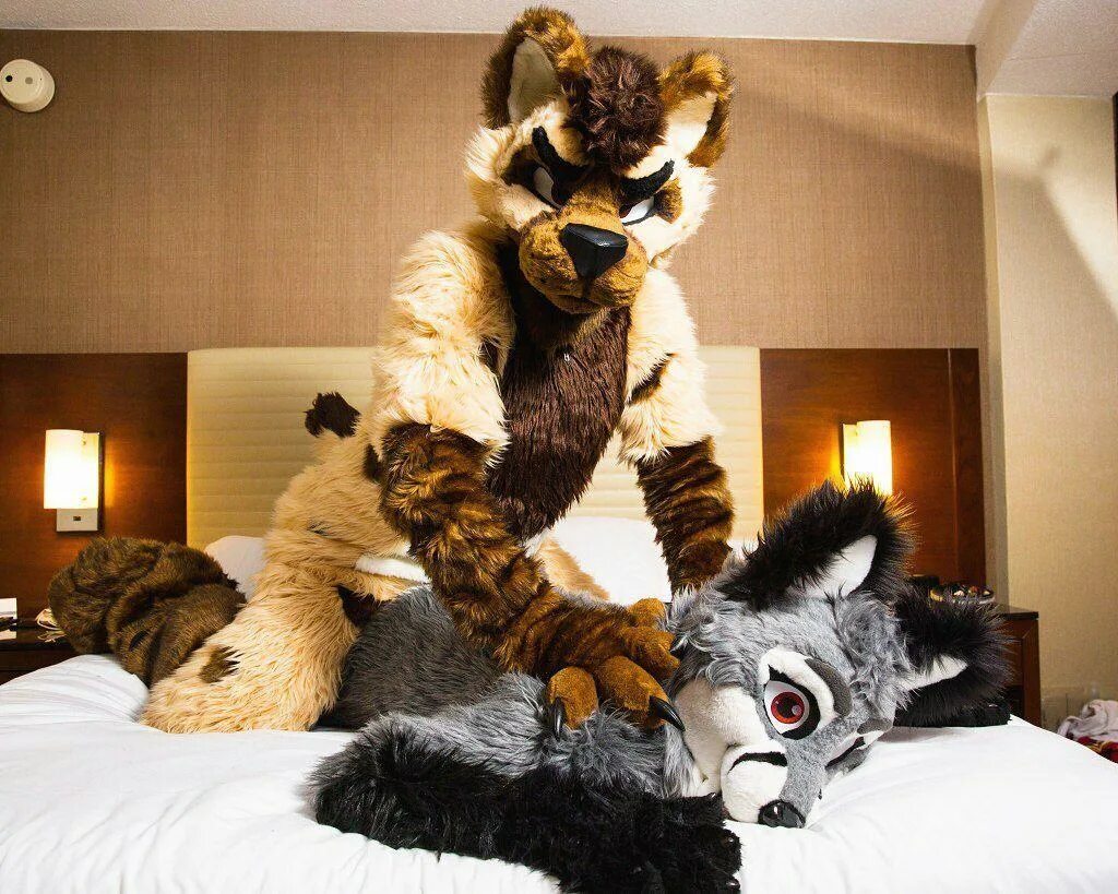 Альфред фурсьют. Фурсьют квадросьют. Фурсьюты рапторы. Как сделать сьют. Furry фурсьют.