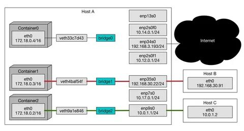 Host os