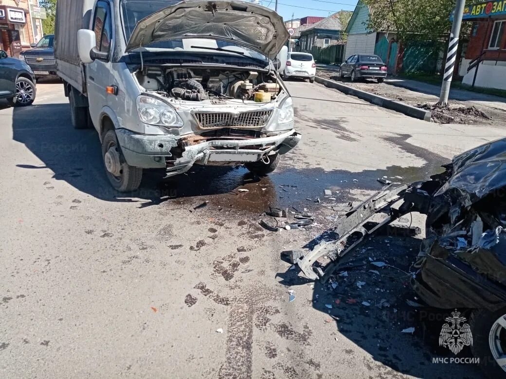 Газель малоярославец. Газель малоярославец