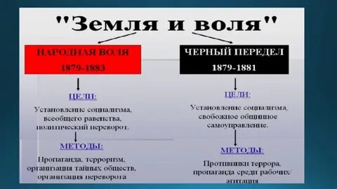 Чем занималась организация земля и воля