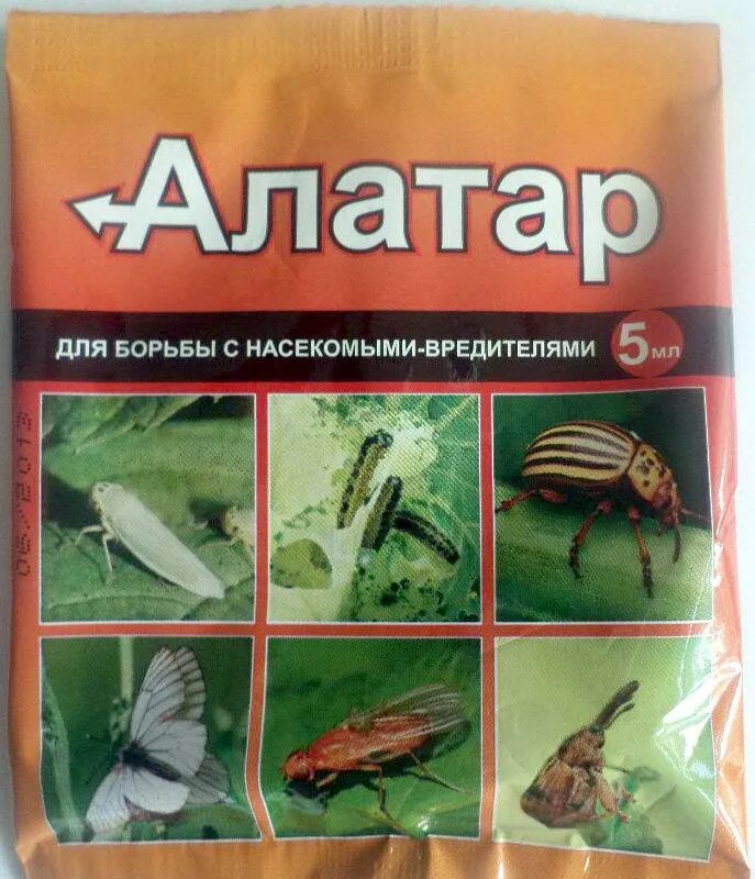 Алатар для сада от насекомых вредителей. Средство от насекомых Алатар. Инсектицид Алатар 5 мл. Про средство Алатар для борьбы с насекомыми вредителями. "Алатар", для защиты растений от насекомых-вредителей, 5 мл.