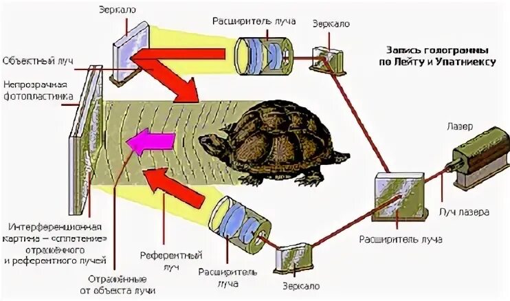 Пропускающие голограммы
