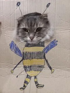 Кот пчела