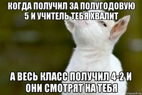 Похвали меня