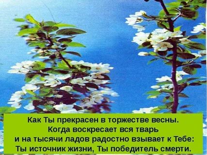 Каждое дыхание