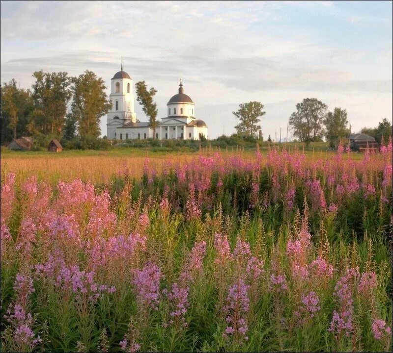 Колокол дремавший разбудил поля. Церковь луг деревня. русь лес поле церковь. поля кипрея в карелии.