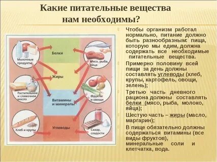 Пищевая химия в продуктах
