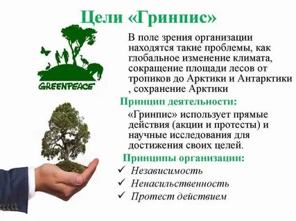 Гринпис деятельность организации