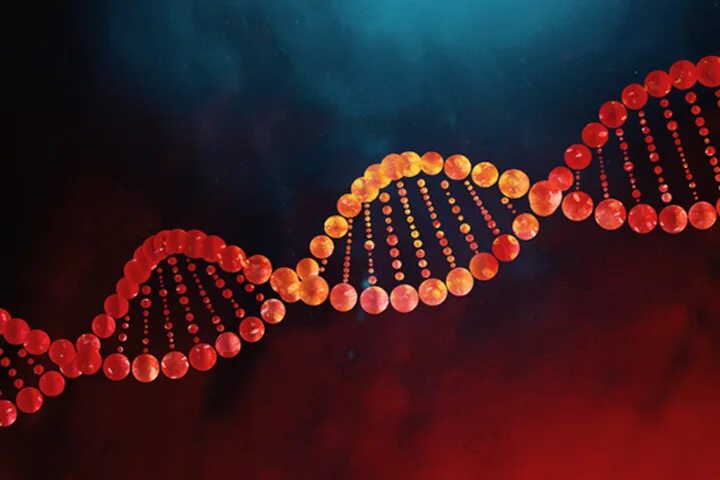Пшеница в лаборатории. Днк визуализация. Геномная днк. Днк фиолетовый. Мутагены днк.
