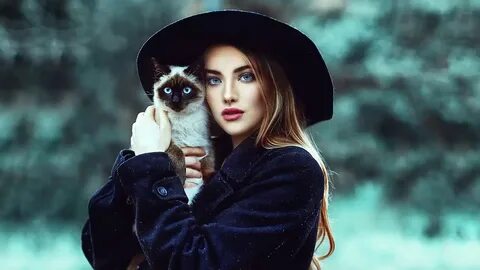 Песня девочка котик