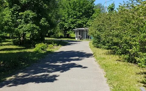 Аллеи петрозаводска