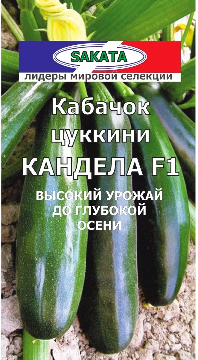 Кабачок кандела f1 описание отзывы фото