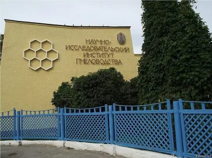 Рыбное пчеловодство