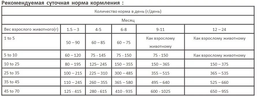 Норма корма для щенка шпица 5 месяцев. Норма корма для щенка шпица 3 месяца. Норма питания щенка шпица. Нормы сухого корма для щенков шпица. Расчет корма для собак